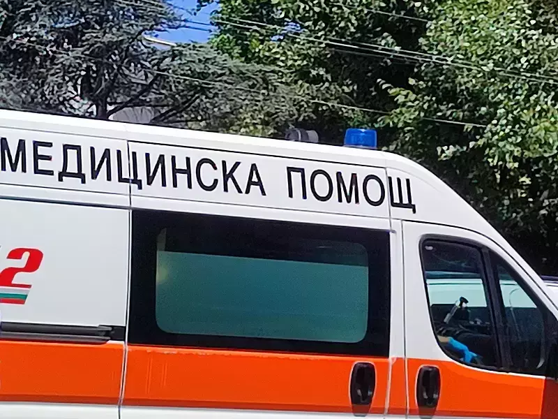 Лекар и шофьор на линейка пострадаха при катастрофа