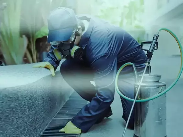 До края на март Община Варна извършва третиране срещу гризачи, ще се обработят близо 12 хиляди шахти