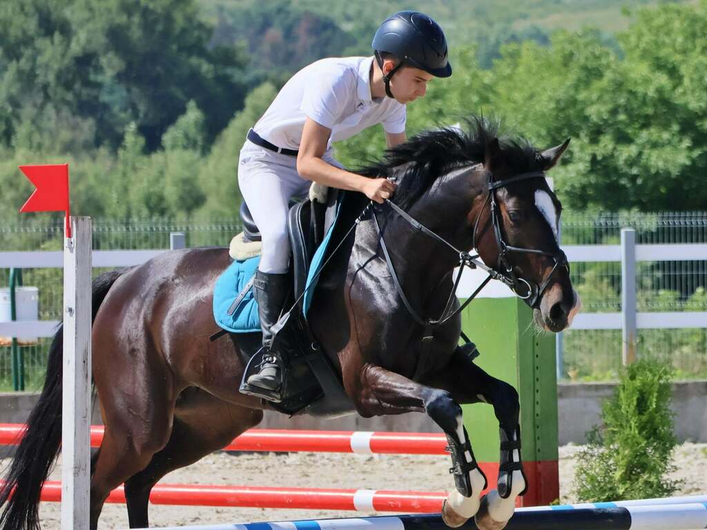 Престижен турнир по конен спорт ще се проведе в Албена