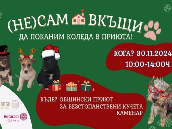 Коледа в приюта