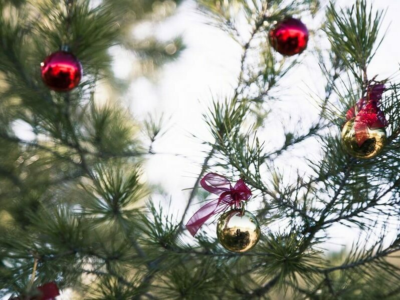 Коледният дух завладява Аксаково