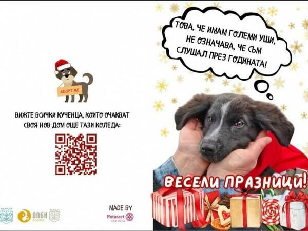 Още четири безпризорни кучета намериха дом