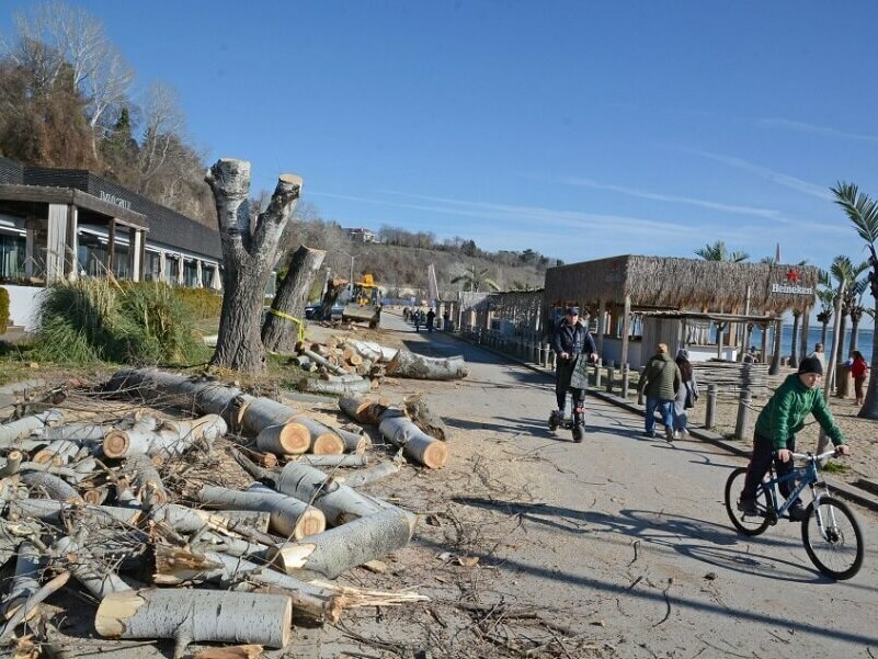 10 000 лева глоба заради дърветата по крайбрежната алея