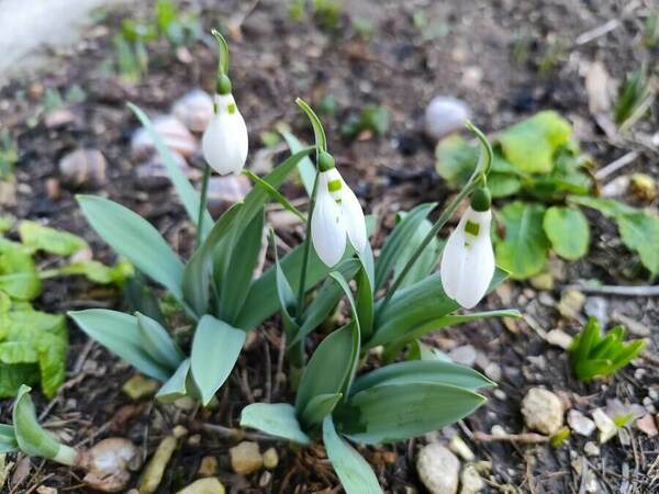 Времето през февруари – от минус 8° до 22°