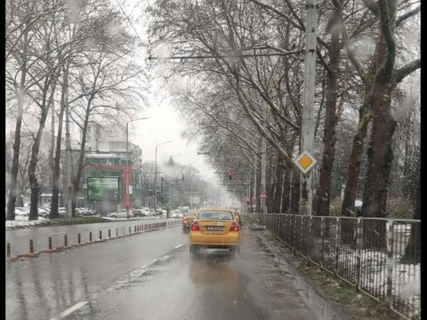 Няма сериозни сигнали в Общината заради снега