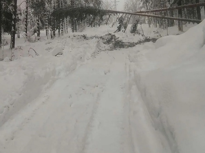 13 села в областта остават без ток