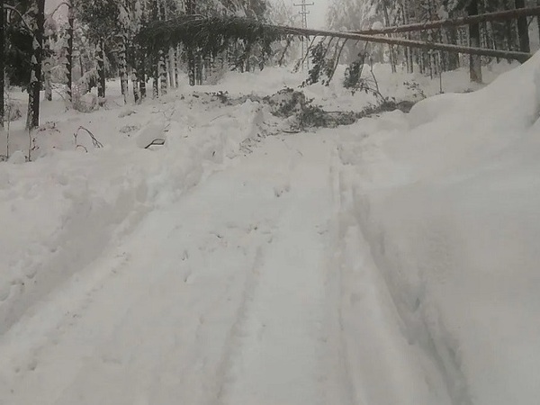 13 села в областта остават без ток