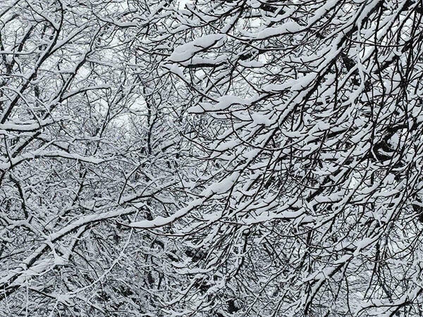 Изпращаме най-студения февруари от 2013 г. насам