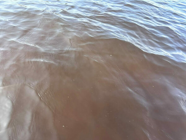 Има ли замърсяване на Варненското езеро