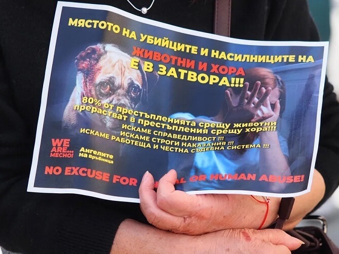 Стотици на протест срещу насилието над животни