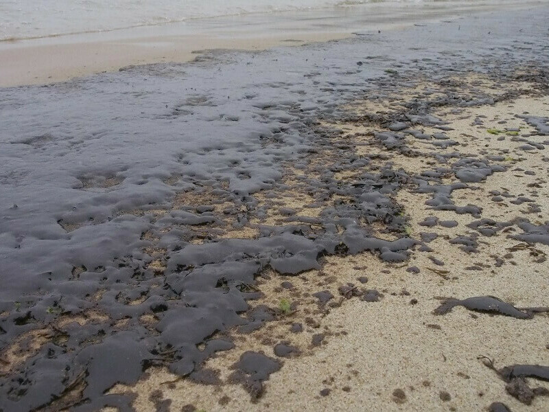 Мазут на плажа във Варна