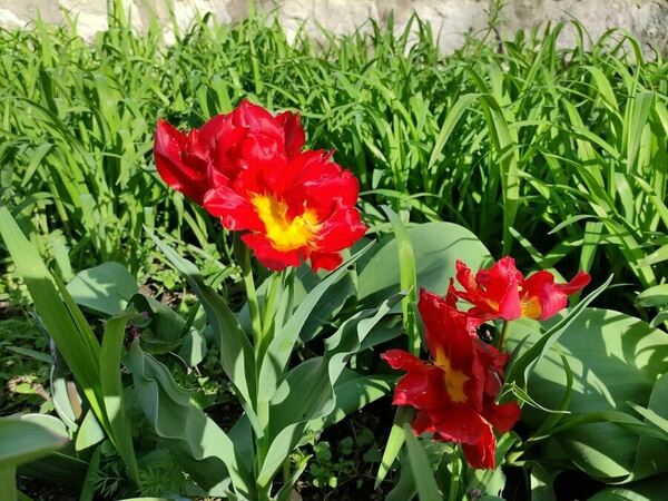 Температури до 33° в края на април