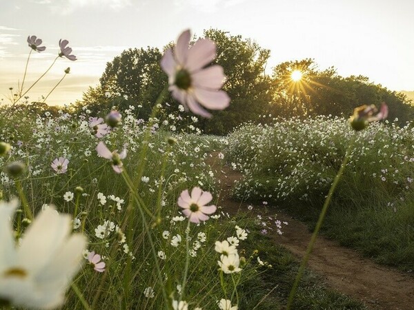 До 40° и през август