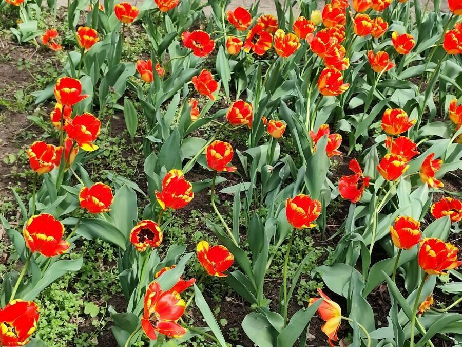 Новият месец с температури до 33°