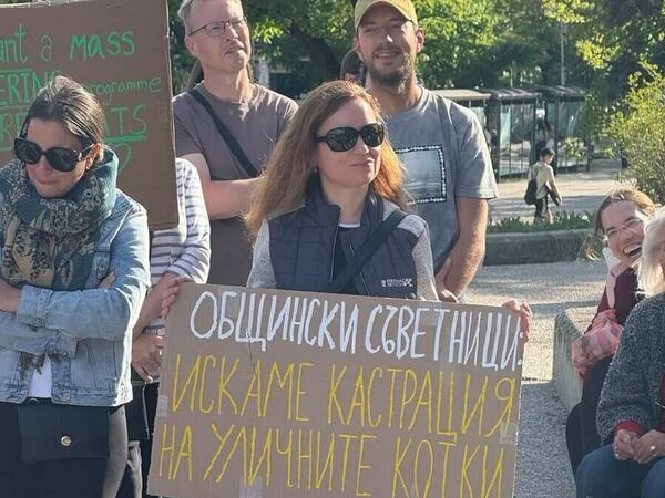 Граждани поискаха кастрация на уличните котки