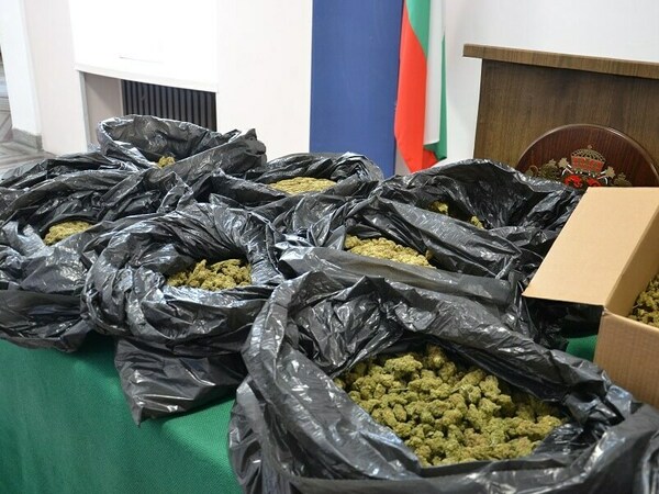 Заловиха четирима с над 12 кг марихуана
