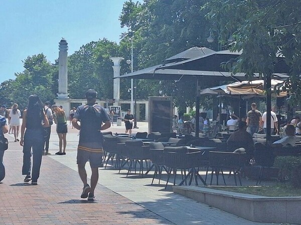 Контрол над масите пред заведенията