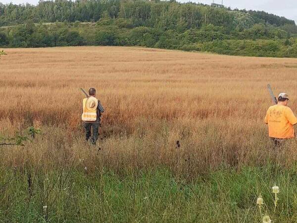 Открива се ловът на пернат дивеч