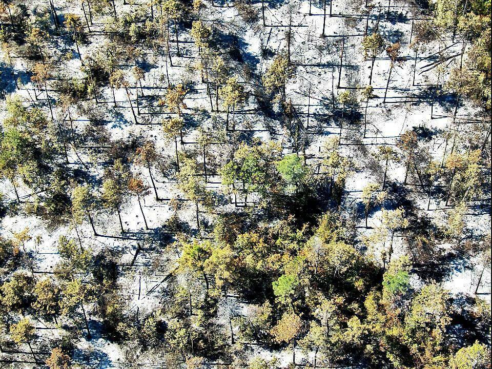 Няма тлеещи огнища в гората над „Аспарухово“