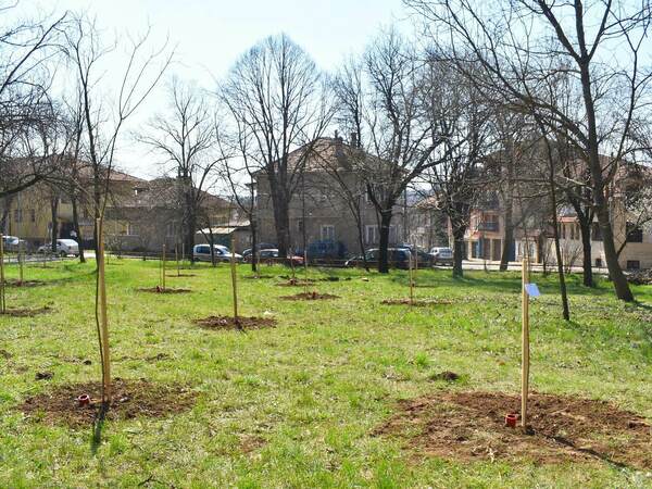 300 нови дръвчета край Белослав