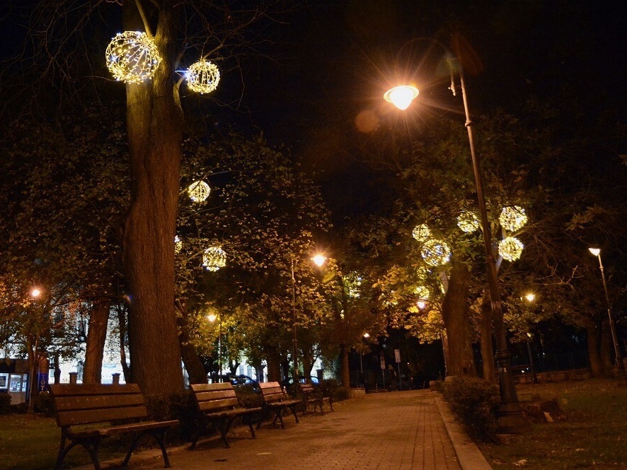 Включват светлините на градската коледна елха