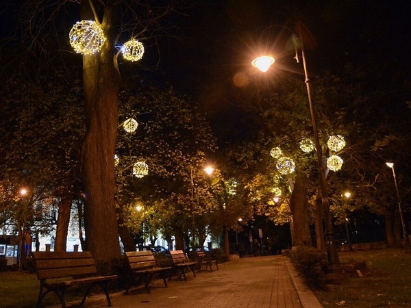 Включват светлините на градската коледна елха