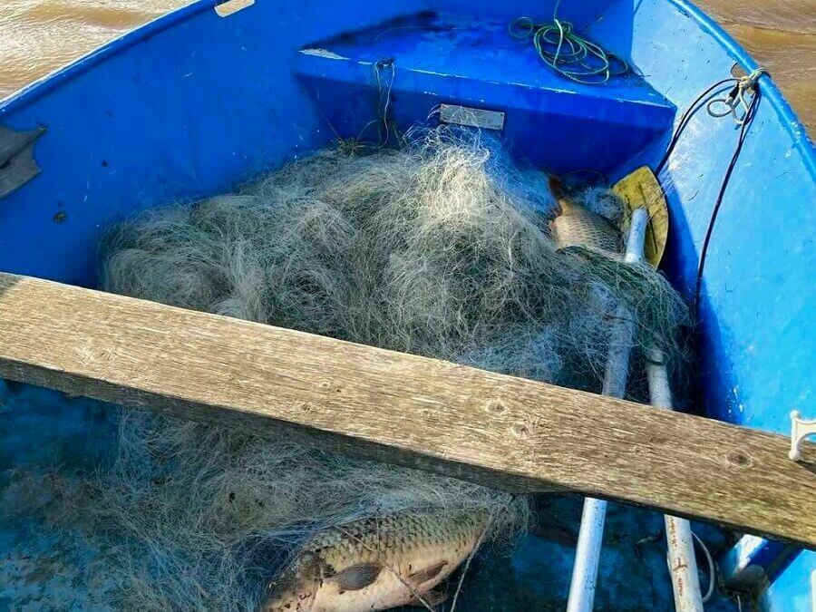 Бракониерски мрежи на язовир „Елешница“