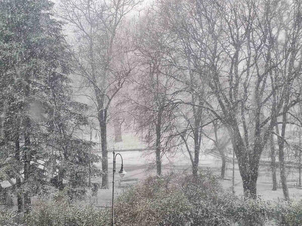 Предупреждения за дъжд, сняг и вятър