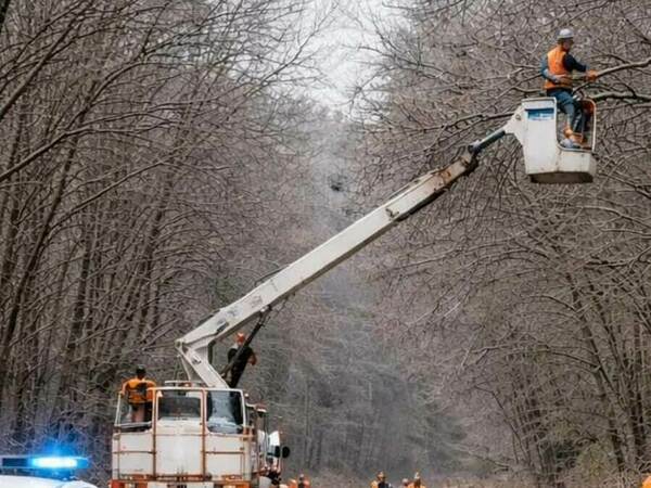 Затварят пътна отсечка заради рязане на клони
