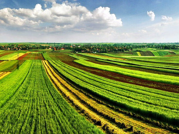 Информационна среща за директните плащания