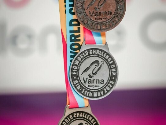 Стани доброволец на Световната купа по спортна гимнастика