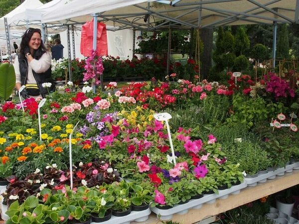 „Флора Варна“: цветна феерия в центъра на морската столица