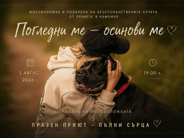 Историите на кучетата от приюта – във фотоизложба